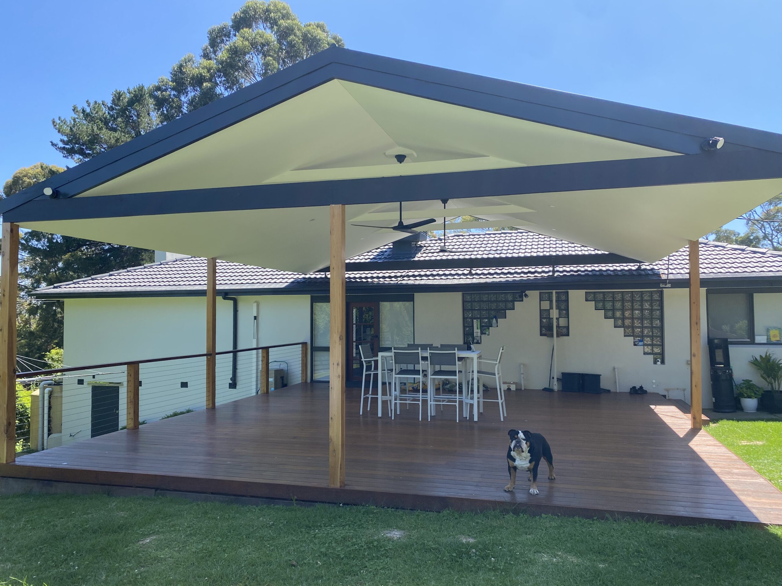 Massive pergola (1) selective focus photo of pink petaled flower